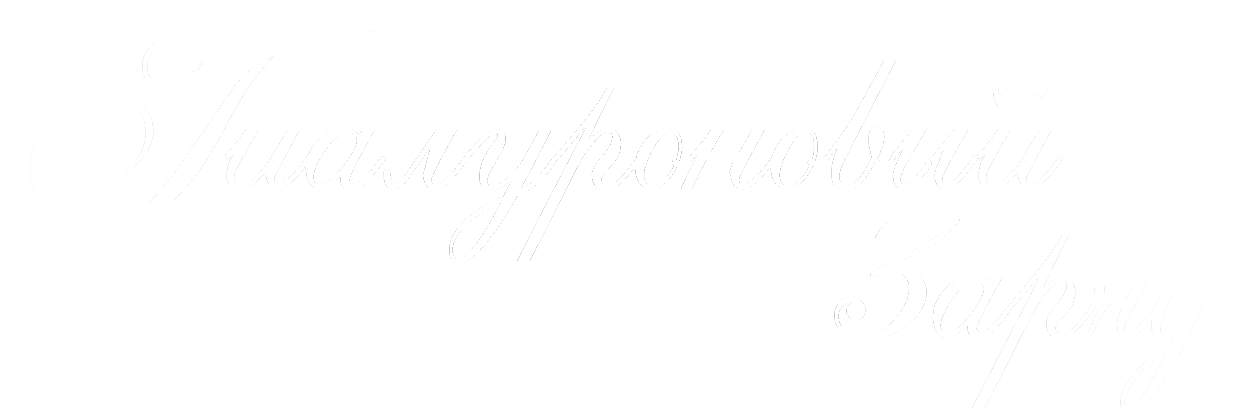 Логотип Hyaluronic Bomb